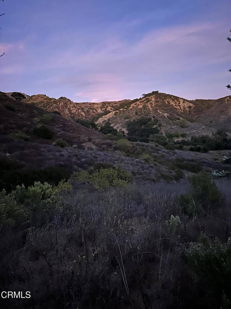 Santa Paula, CA 93060,8221 Wheeler Canyon RD