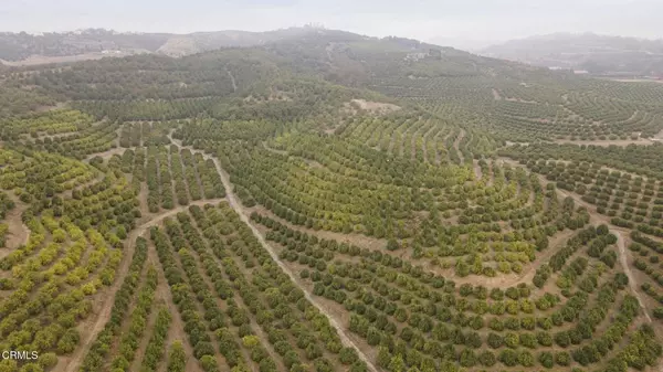 Somis, CA 93066,0 Donlon RD