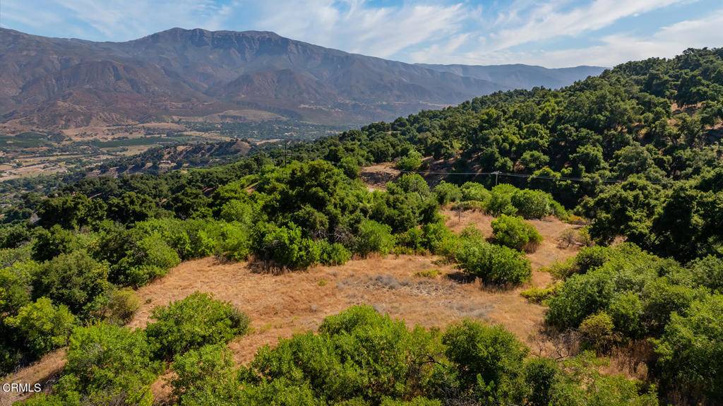 Ojai, CA 93023,10331 Sulphur Mountain RD