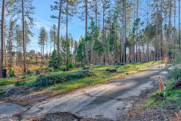 Paradise, CA 95969,1584 Wagstaff RD