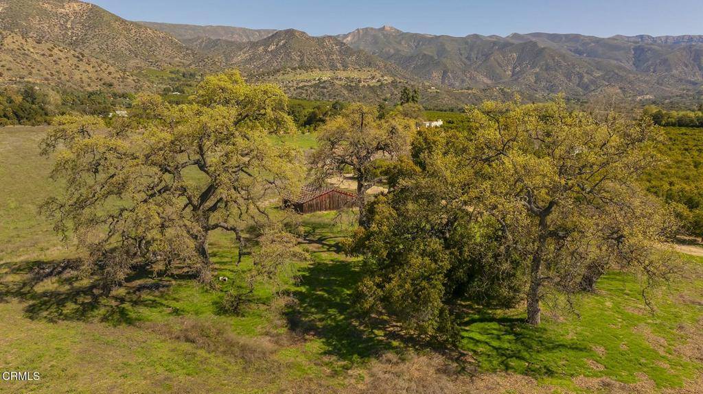 Ojai, CA 93023,0 Grand AVE