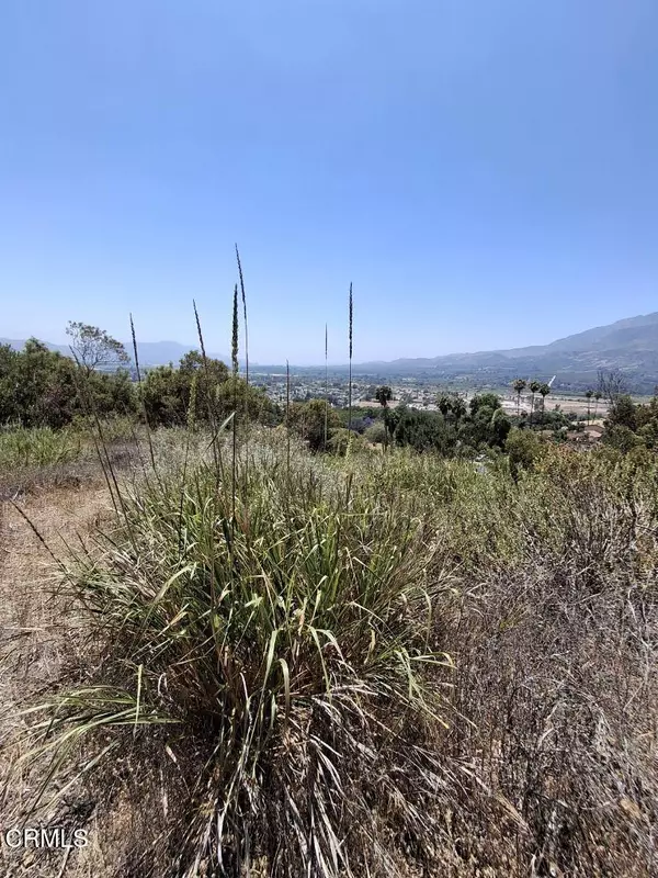 Fillmore, CA 93015,0 Fremlin DR