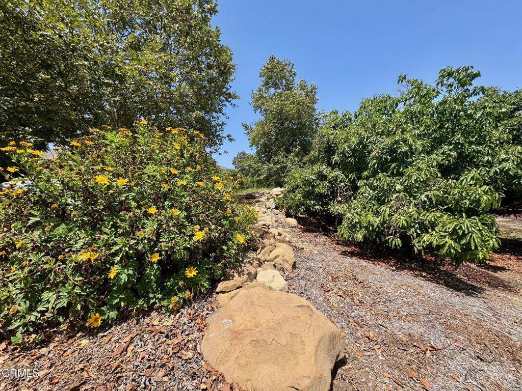 Santa Paula, CA 93060,0 Hall RD