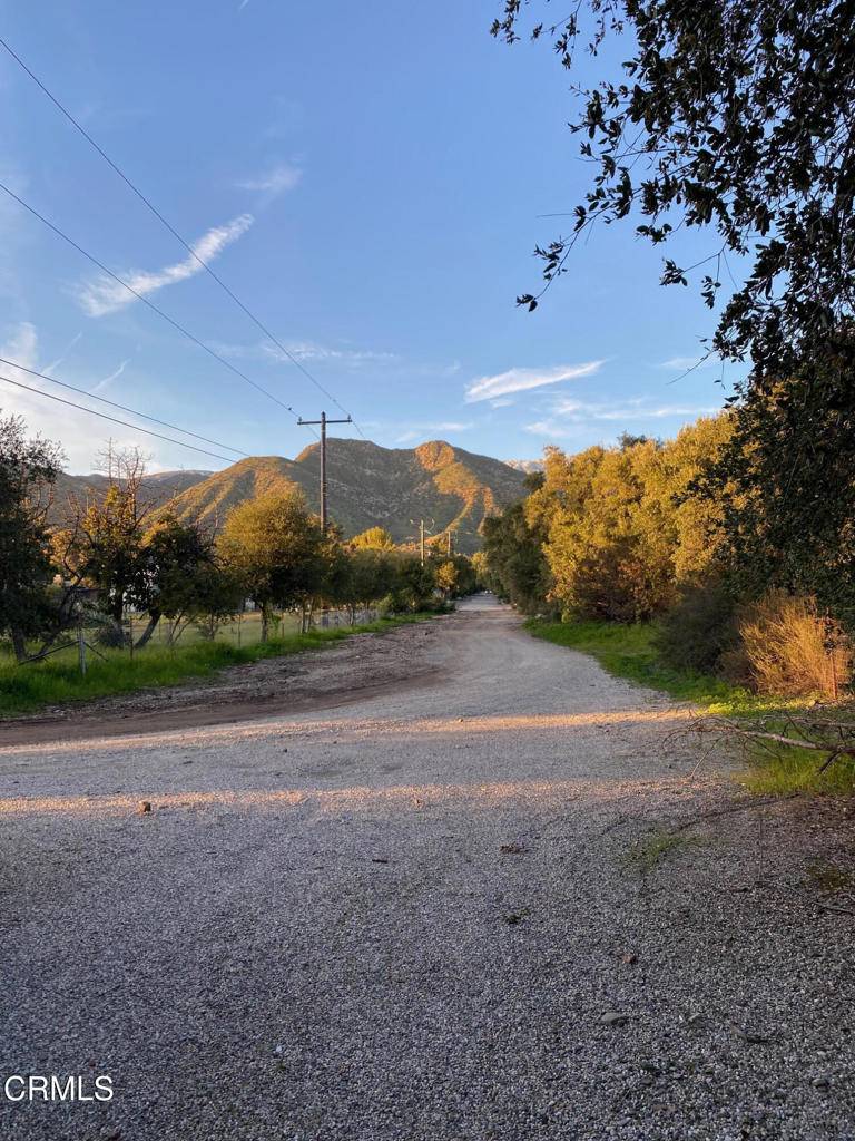 Ojai, CA 93023,1073 Shippee LN