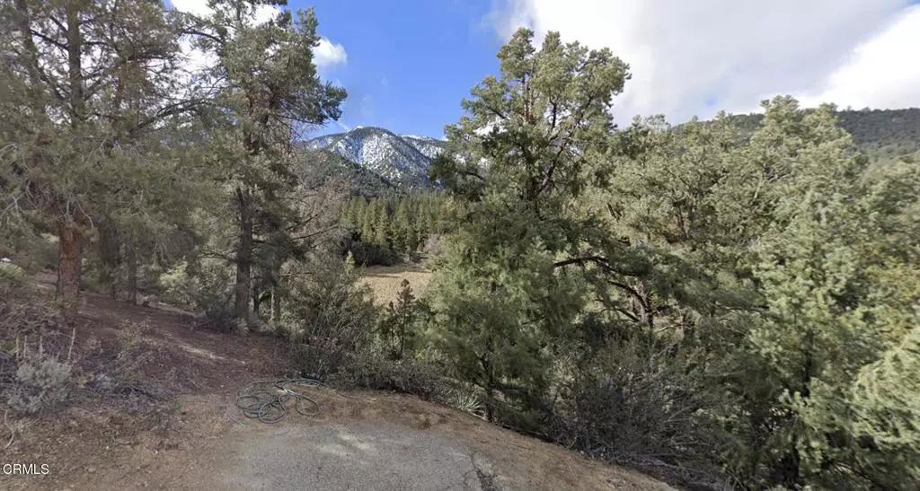 2209 St Anton Dr DR, Pine Mountain Club, CA 93222