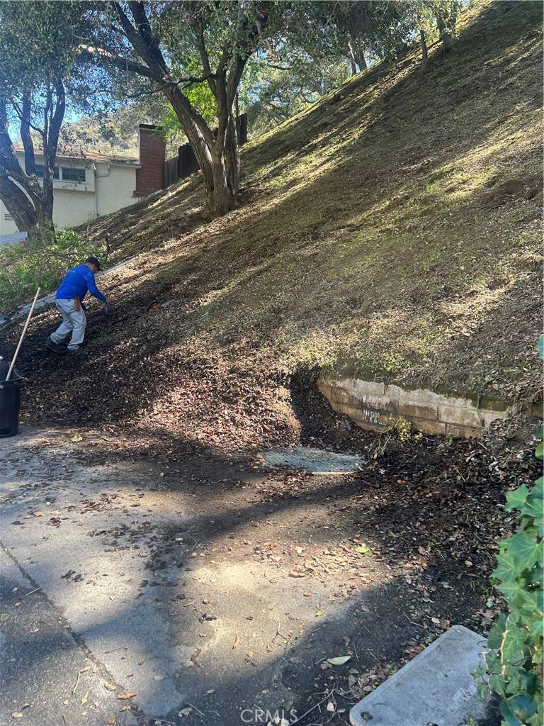 Glendale, CA 91206,2430 Drury LN