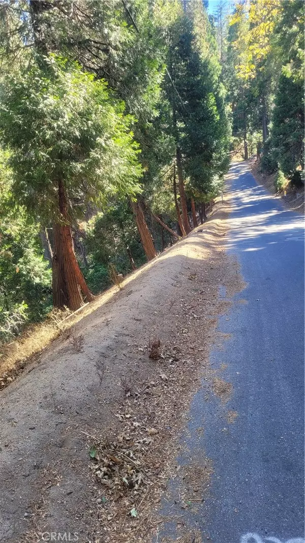 Crestline, CA 92325,0 Bernard DR
