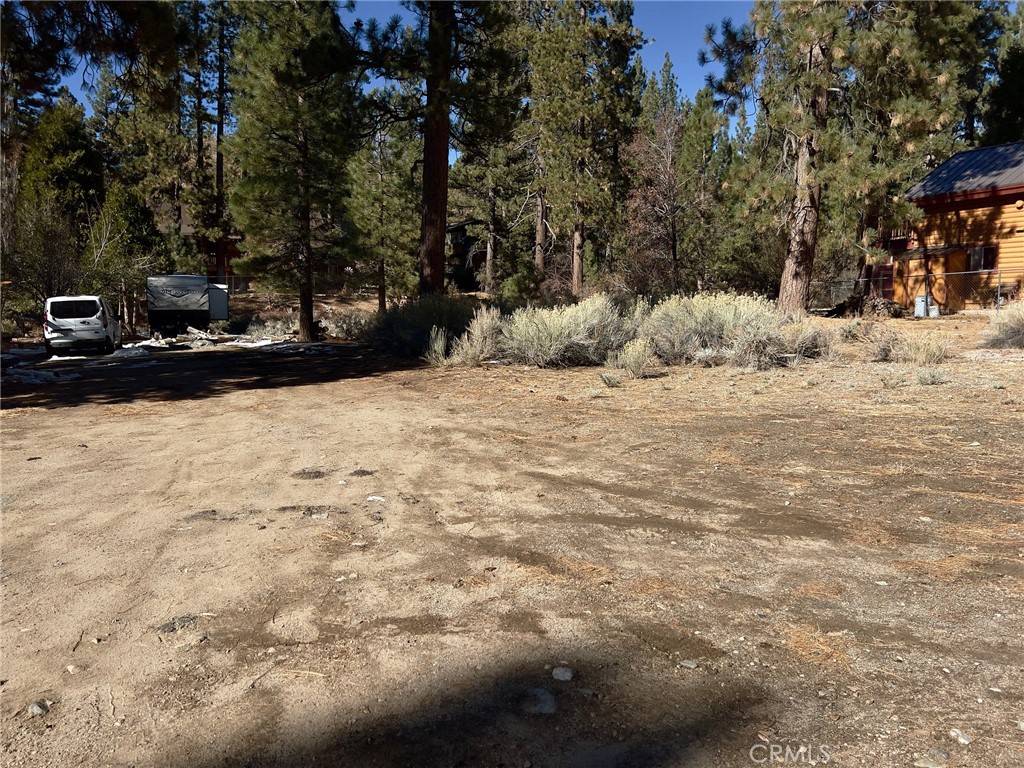Fawnskin, CA 92333,1 Canyon RD