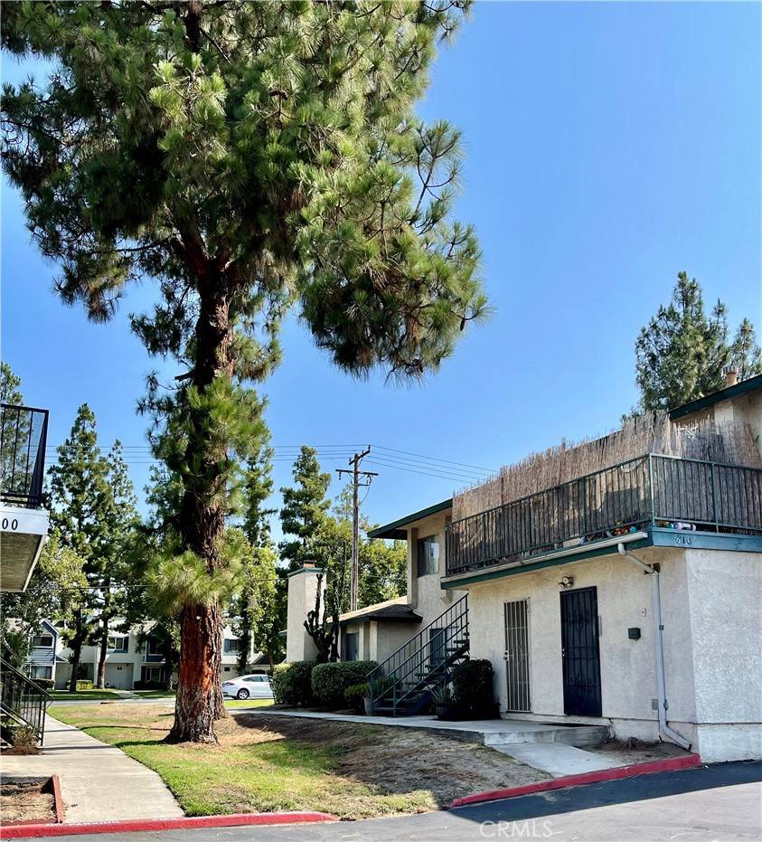 Redlands, CA 92374,610 E Lugonia AVE #4