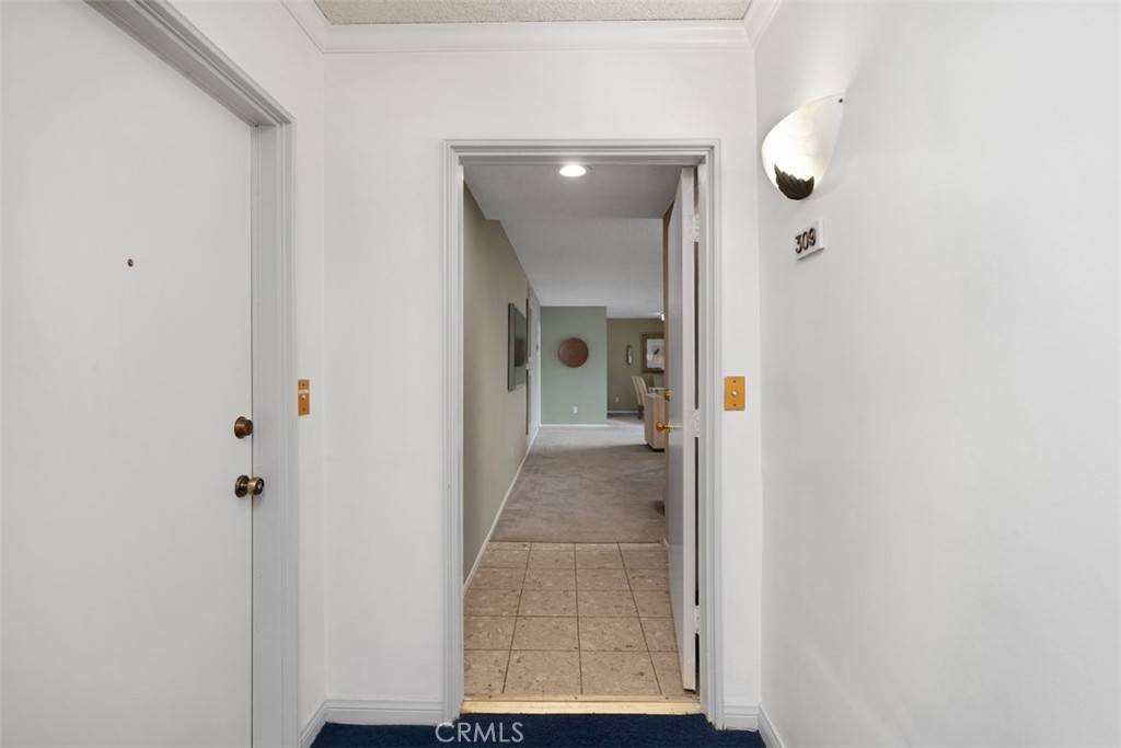 Pasadena, CA 91106,972 E California BLVD #309