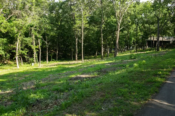 Afton, OK 74331,Lot#4 airport Rd.