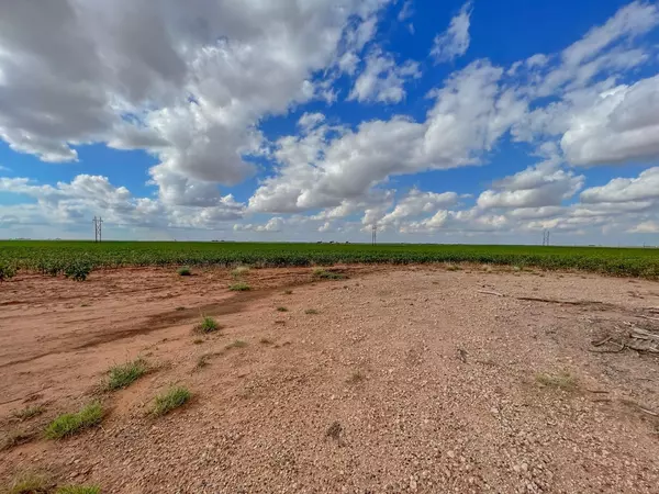 Ropesville, TX 79358,3 Cooper Boulevard