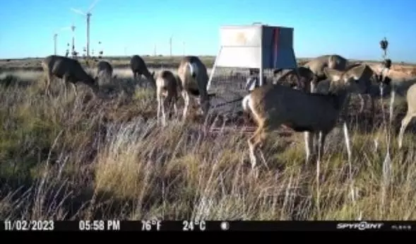 Southland, TX 79364,397 County Road 160