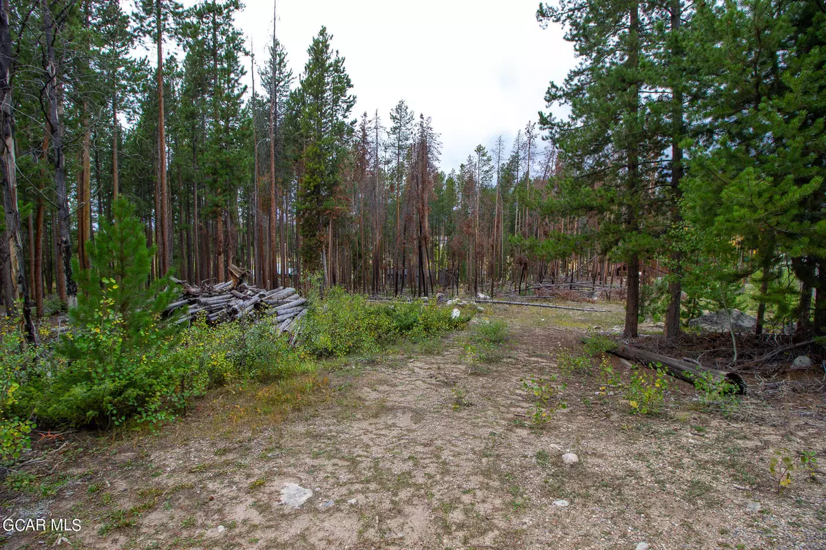 Grand Lake, CO 80447,91 Gertrude Breckon DR