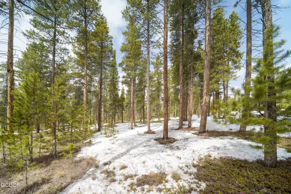 Tabernash, CO 80478,91 GCR 5117/Lolly LN