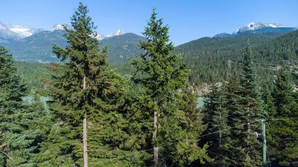 Whistler, BC V8E 0G5,9202 Pinetree LN