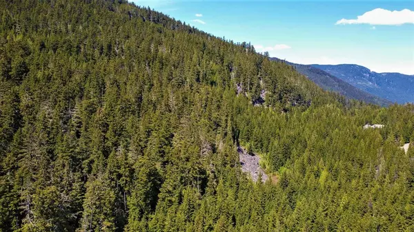 Whistler, BC V8E 0V9,5480 Stonebridge PL