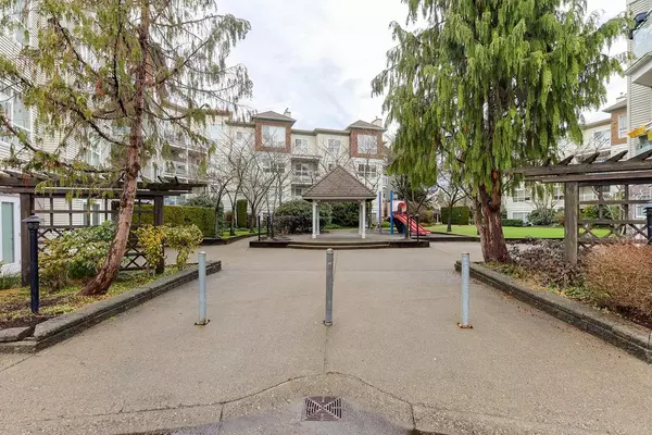 Surrey, BC V3R 0R6,10188 155 ST #313