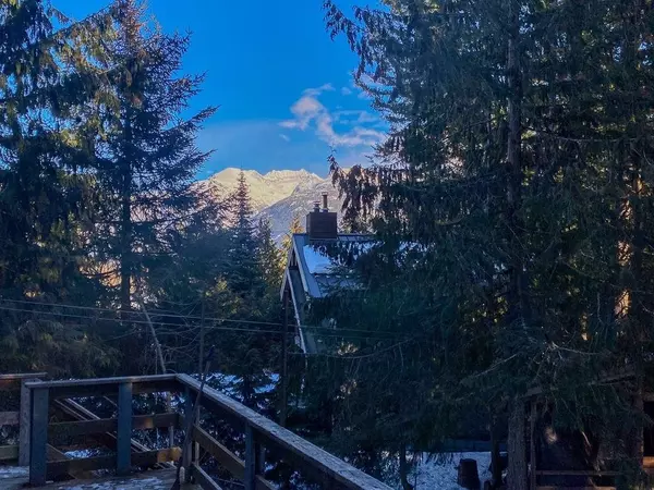 Whistler, BC V8E 0G2,8228 Alpine WAY