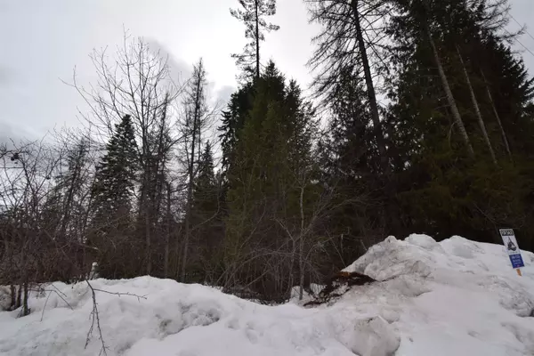 No City Value, BC V0G 1Z0,422 Cady RD