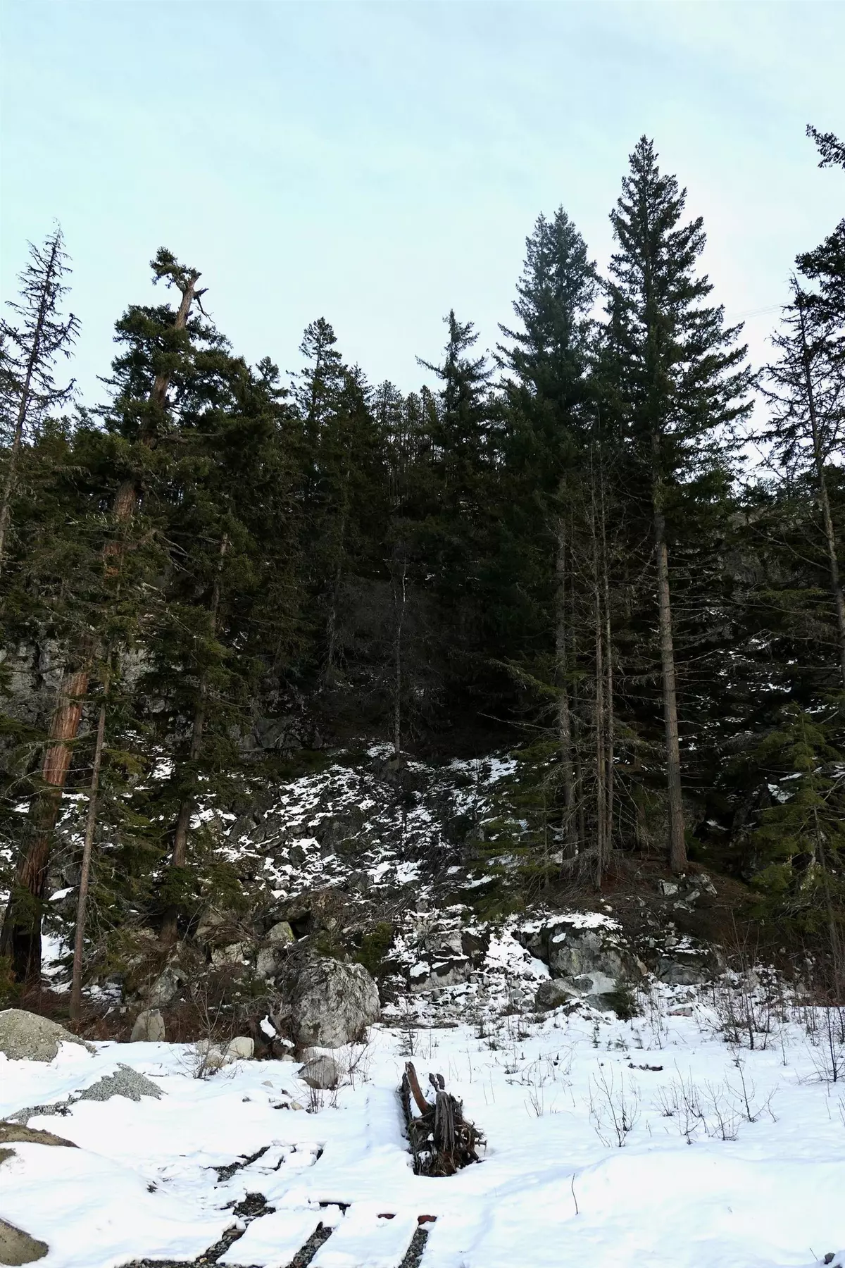 Whistler, BC V8E 1M1,9112 Corduroy Run CT