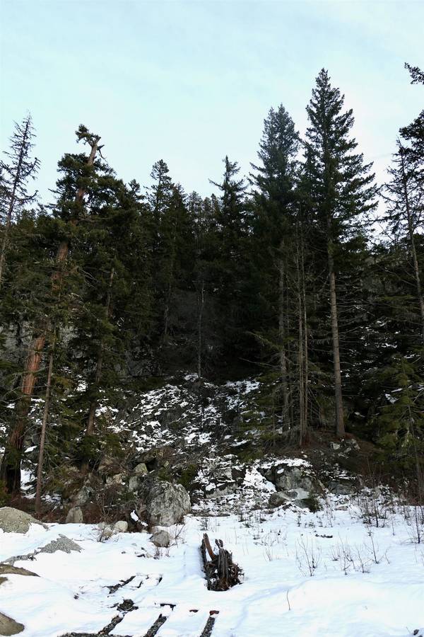 9112 Corduroy Run CT, Whistler, BC V8E 1M1