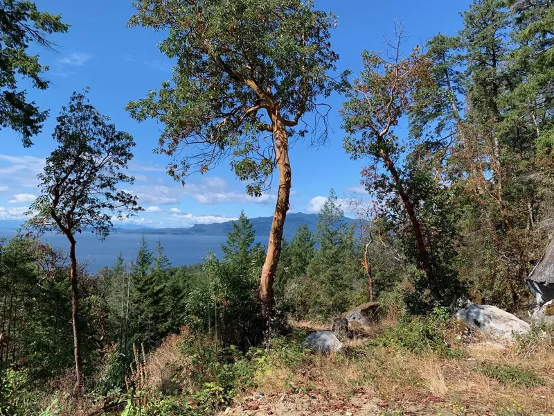 Address Not Disclosed