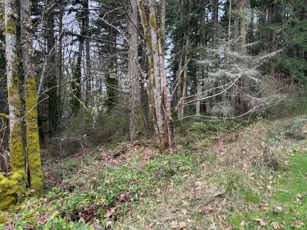 Salt Spring Island, BC V8K 2R3,LOT2 Churchill RD