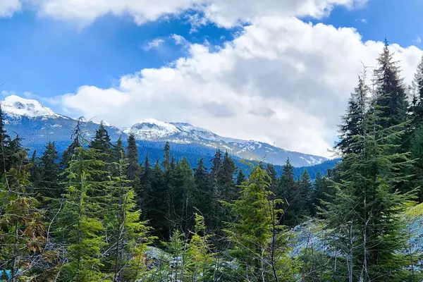 Whistler, BC V0N 1B0,DL3363 Highway 99