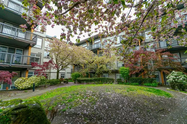 Richmond, BC V6Y 0B3,6033 Katsura ST #222