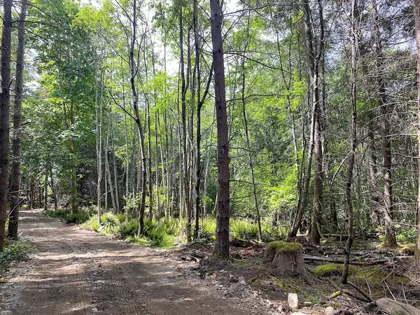 Galiano Island, BC V0N 1P0,740 Eagles Rest LN