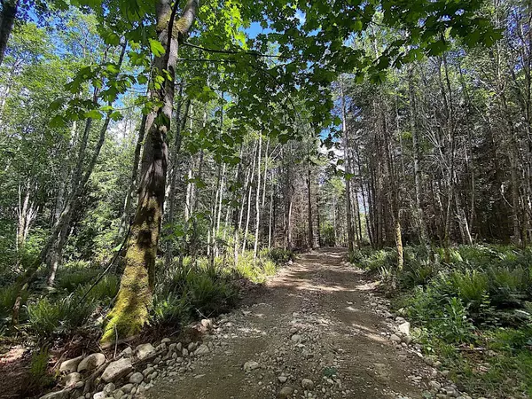 Galiano Island, BC V0N 1P0,740 Eagles Rest LN