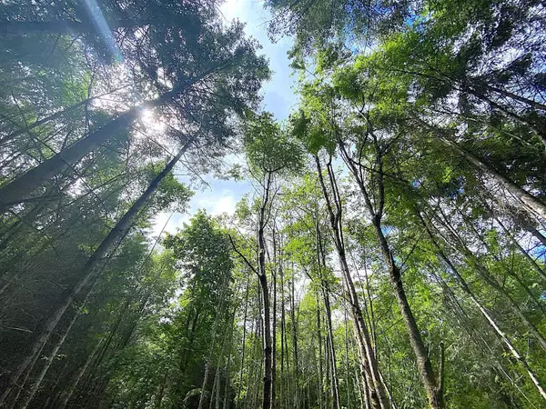 Galiano Island, BC V0N 1P0,740 Eagles Rest LN