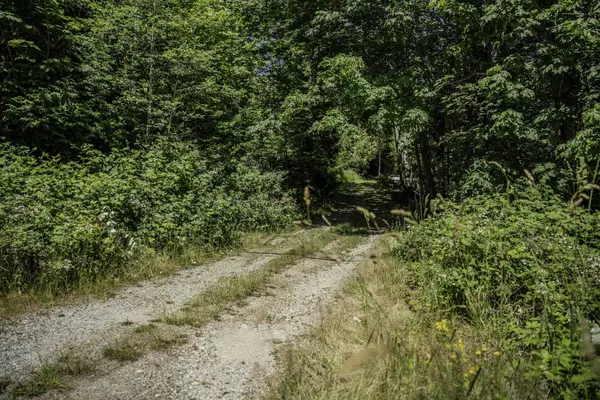 Pender Harbour, BC V0N 2H1,12882 Stone RD