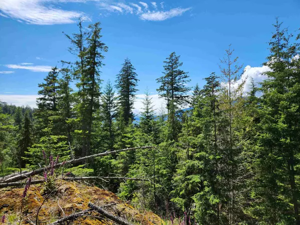 Gambier Island, BC V0V 1V0,LOT 20 Fircom Plateau