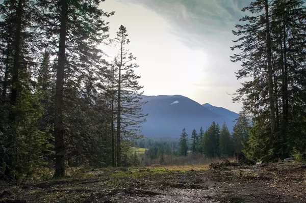 Chilliwack, BC V4Z 1A5,50270 Elk View RD