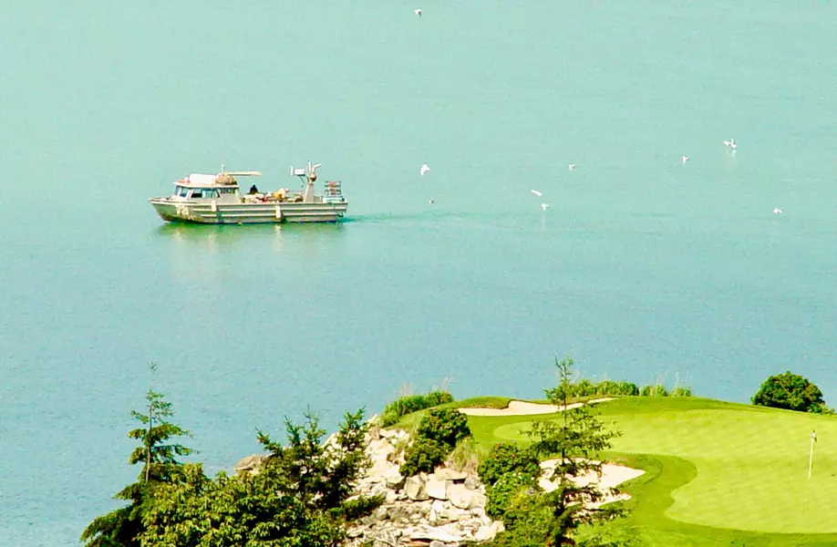 Address Not Disclosed