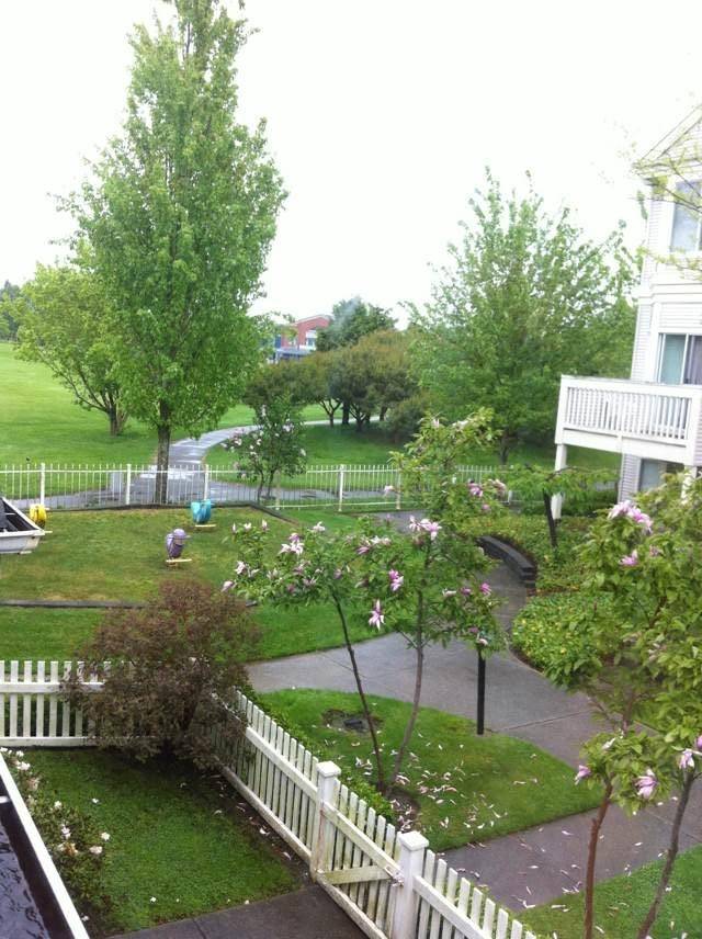 Richmond, BC V6V 2T7,12891 Jack Bell DR #23