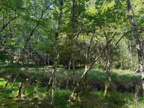 Galiano Island, BC V0N 1P0,Lot 14 Bodega Beach DR