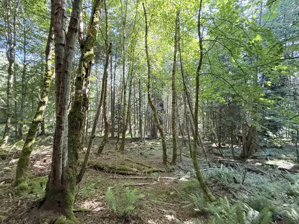 Galiano Island, BC V0N 1P0,Lot 14 Bodega Beach DR