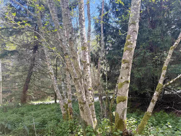 Galiano Island, BC V0N 1P0,Lot 13 Bodega Beach DR