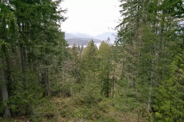 Egmont, BC V0N 2H4,Lot 66 Greentree RD