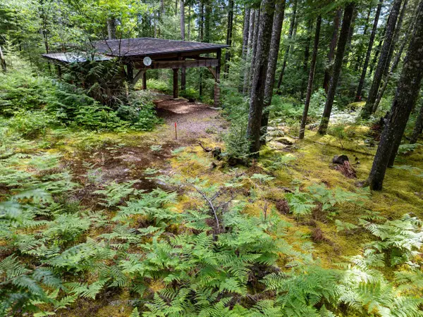 Squamish, BC V0N 2L2,1030 S Rustad RD