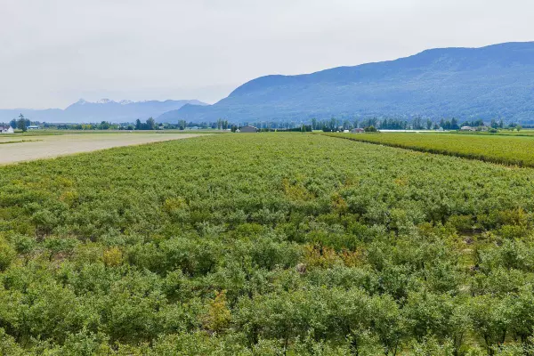 Abbotsford, BC V3G 2P1,3815 Interprovincial HWY