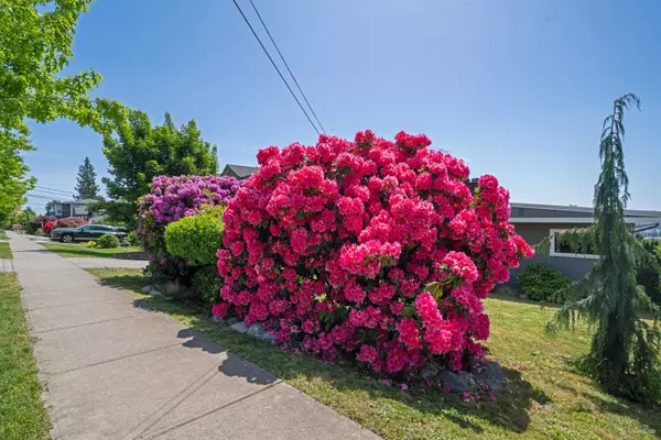 Coquitlam, BC V3K 2N6,916 Stewart AVE