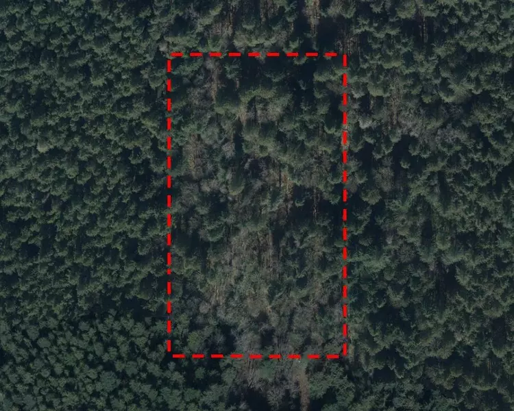 Address Not Disclosed