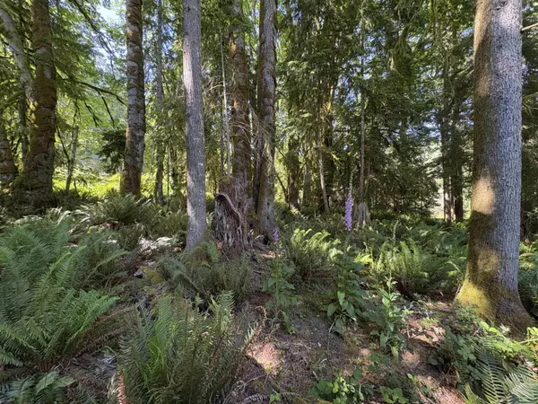 Gambier Island, BC V0N 1V0,984 West Bay RD #Lot 64