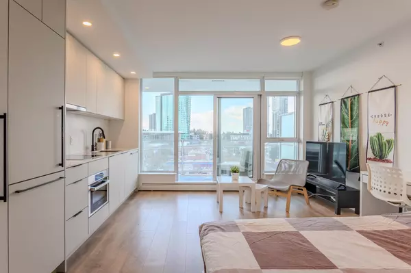 Surrey, BC V3T 0S2,13685 102 AVE #909