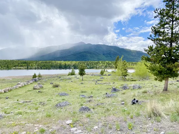 No City Value, BC V0K 1K0,3193 Little Big Bar RD