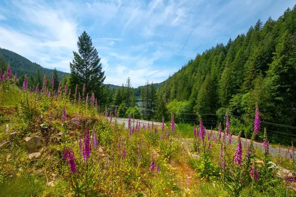 Bowen Island, BC V0N 1G2,Lot 5 Forster LN